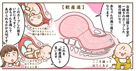 膣キュンとは|85％が経験アリ！子宮が「キュン」としたら恋の始ま。